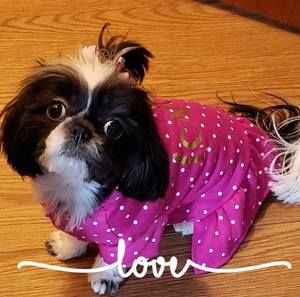 Meet your Posher, Sandyncharlie